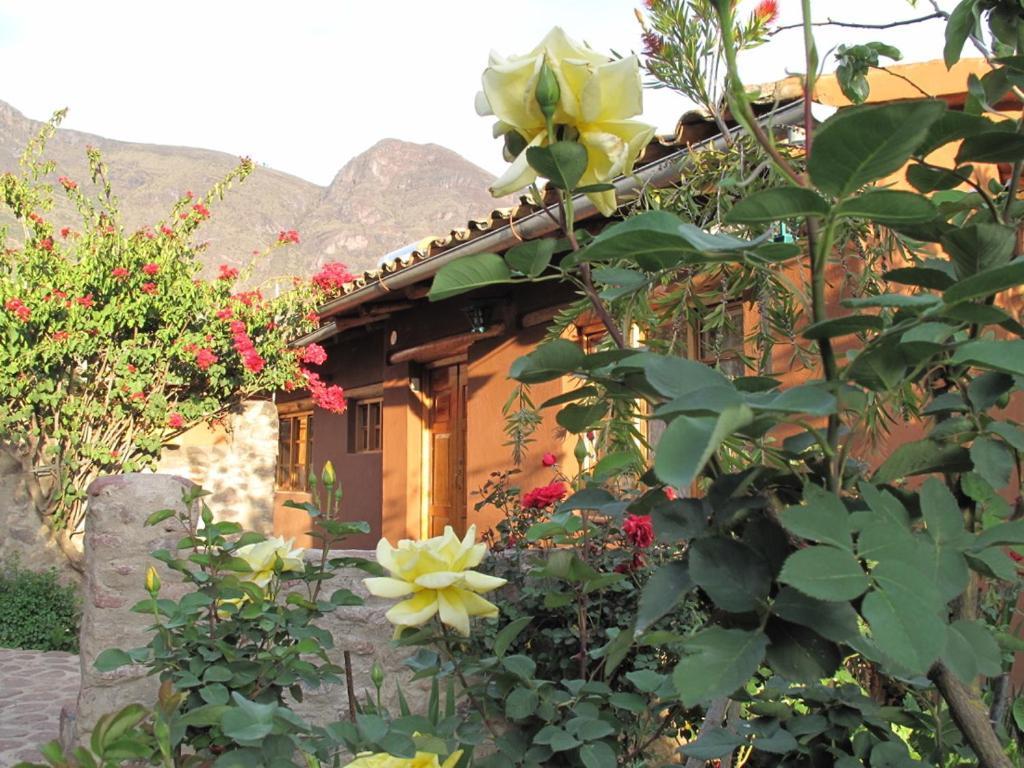 Casa De Aida Apartment Calca ภายนอก รูปภาพ