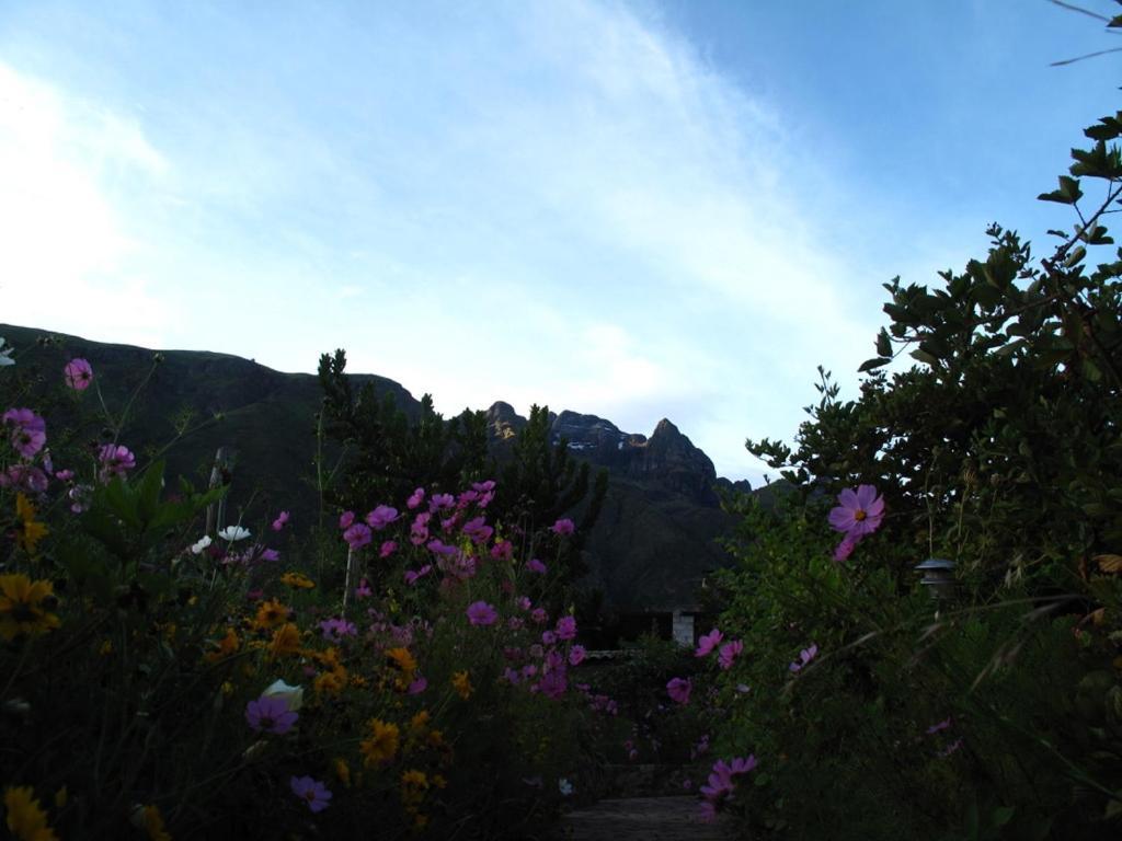 Casa De Aida Apartment Calca ภายนอก รูปภาพ